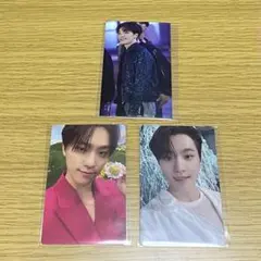 sector17 ディノ タワレコ特典 トレカ セット