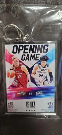 Item thumbnail for item 68e7f4c8-fa89-4e80-8b63-d0707503a1a0