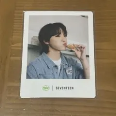 SEVENTEEN セブチ ビビゴ bibigo スナップフォト ディノ