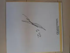 川崎宗則サイン入りぬいぐるみ 2025年最新】川﨑_宗則の人気アイテム - メルカリ