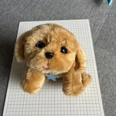 リトルライブペッツ　犬　ぬいぐるみ　 LittleLivePets トイプードルのサムネイル