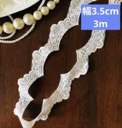 Item thumbnail for item 80e5c955-0f85-44d9-8f59-8f3188a81c8b