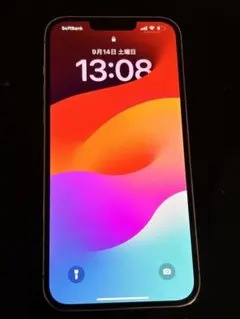 Iphone 13 pro max 256gb