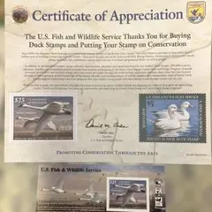 odachin様 リクエスト 6点 まとめ商品