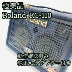 Roland KC-220 キーボードアンプ 本体 アダプター ケーブル セット