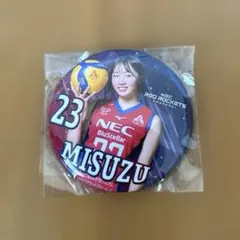 2026年最新】NECレッドロケッツ川崎の人気アイテム - メルカリ