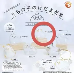 うちの子のけだまだま　犬　プードル