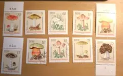 tenQ様 リクエスト 2点 まとめ商品