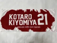 Item thumbnail for item 52bb2935-7b2d-4784-8e40-ecb4e849b2b6