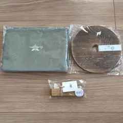 Item thumbnail for item c8500c3a-cd95-4e9f-be21-817db765b90a