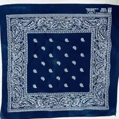 Item thumbnail for item a03528e7-dfac-4410-8d93-48b3f264a665