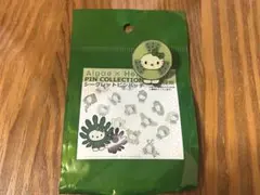 2025年最新】カザグルマケイソウの人気アイテム - メルカリ