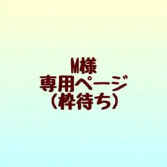 M様 専用ページ(枠待ち中)