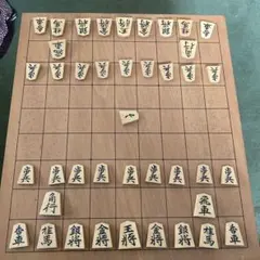 一平作 昇龍書 将棋駒 盛上駒 あまり歩1枚 - メルカリ