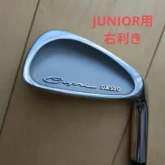 Item thumbnail for item 4008d590-706e-44f8-90e5-e8cc6cfde211