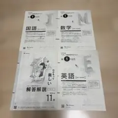 高1 2025年度 11月 ベネッセ総合学力テスト 問題 解説付きのサムネイル