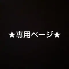 専用ページ