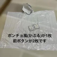 Item thumbnail for item 79c8001d-acdd-402b-ad9e-21e1c3bb497d