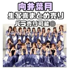 イコラブ 佐々木舞香 野口衣織 生写真 まとめ売り - メルカリ