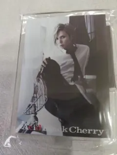 2026年最新】Acid Black Cherry YASUの人気アイテム - メルカリ