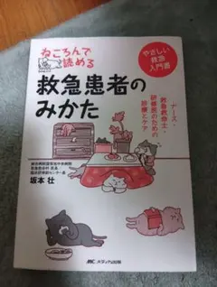 Item thumbnail for item 5b73d135-189a-42f2-9ce5-d776c29e30f0