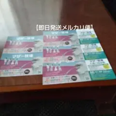 【即日発送メルカリ便】2026/9/30（有効）マザー牧場招待券5枚のサムネイル