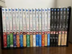 転生した大聖女は、聖女であることをひた隠すZERO 既刊全巻