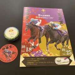京都競馬場 秋華賞 菊花賞 マスキングテープ ステッカー