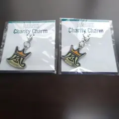嵐 チャリティーチャーム2点