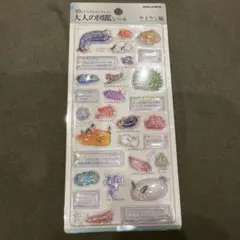 3D 大人の図鑑シール　ウミウシ編