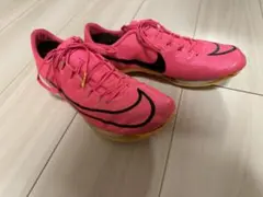 【NIKE】マックスフライ　陸上スパイク