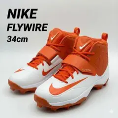 Item thumbnail for item d53b2c7a-35d3-4881-9658-2697ce036f49