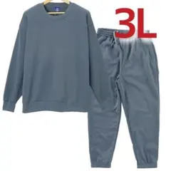 3L 2XL トレーナー スウエット パンツ 大きいサイズ 裏起毛 上下セット