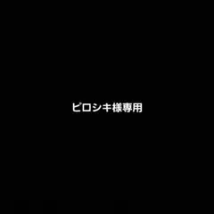 ピロシキ様専用ページ