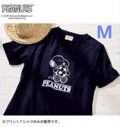 Item thumbnail for item f6806a8a-5aba-401c-9f50-f76ee58f2246