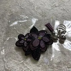 Item thumbnail for item c6309714-49f4-4014-a258-e435c2cf868d