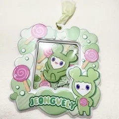 TWICE LOVELYS ジョンヨン カードホルダー