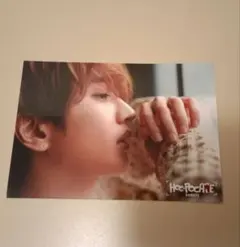 2025年最新】写真・チェキの人気アイテム - メルカリ