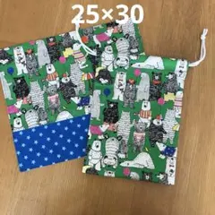 Item thumbnail for item 8fd21c7a-3b28-4eba-817c-850020f7c009