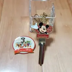 ディズニー　鍵型ストラップ&ピンバッチセット