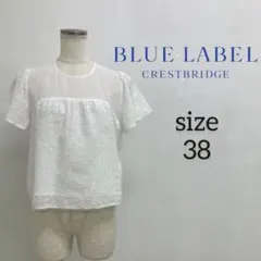 美品 ブルーレーベルクレストブリッジ 後ろパールボタンのタイ付き 