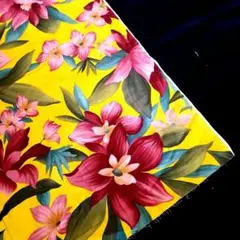 Item thumbnail for item ada7e685-eee5-4aa7-84ca-de175c8e1d39