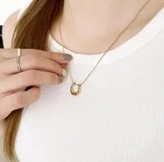 【大特価】 ネックレス 人 サージカルステンレス スネークチェーン ホースシュー