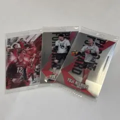 バレーボール男子ウエハース　SP•石川祐希•西田有志　日本代表