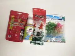びんちゃんメダカ】びんびん乳酸菌！500ml メダカの餌 水質浄化 - メルカリ