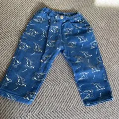 ブリーズ　ズボン90