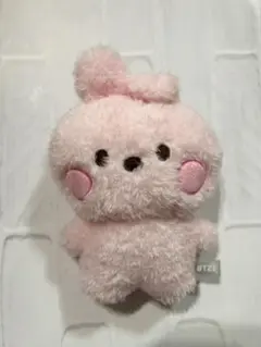 BT21 COOKY たっとん ベビーバディ ぬいぐるみ