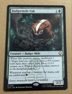 2026年最新】アナグマモグラの仔の人気アイテム - メルカリ