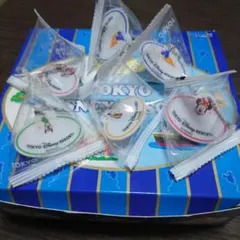 東京ディズニーリゾート キャスト風ネーム ボールチェーンキーホルダー 6個セット