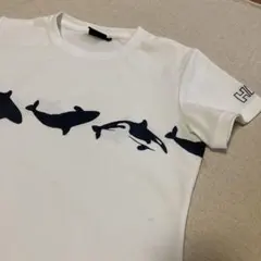 Item thumbnail for item b523031e-3958-4597-9c0f-3eca6ccfa9f2